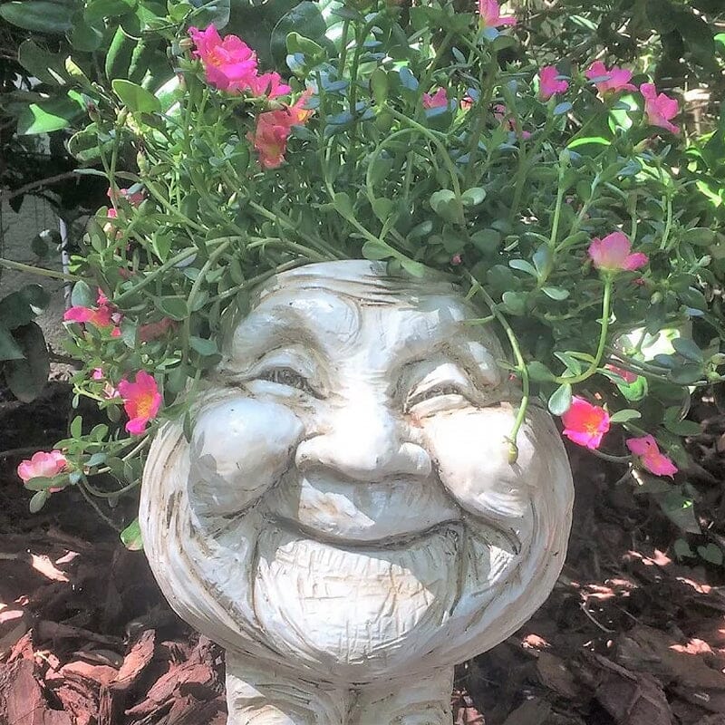 GrinPot – Lustiger Blumentopf mit Charakter | 50% RABATT