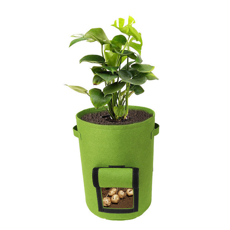 🪴 GrowBagPro – Frisches Gemüse einfach selbst anbauen | 50% RABATT