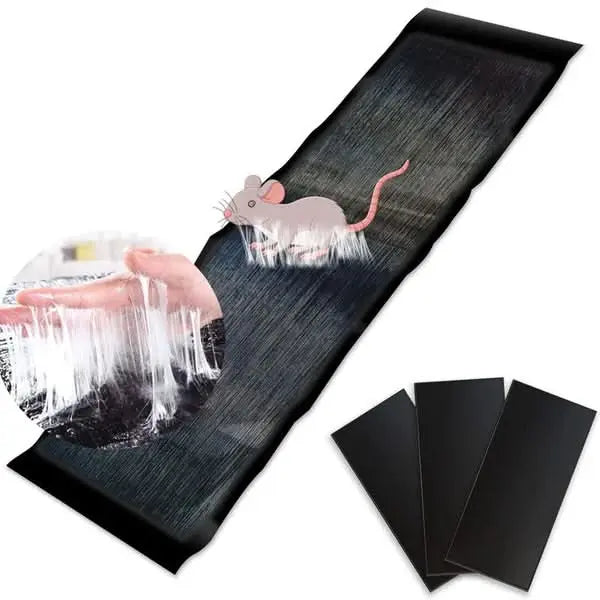 ZapCatch™ – Automatische Fliegenfalle | 1+2 GRATIS