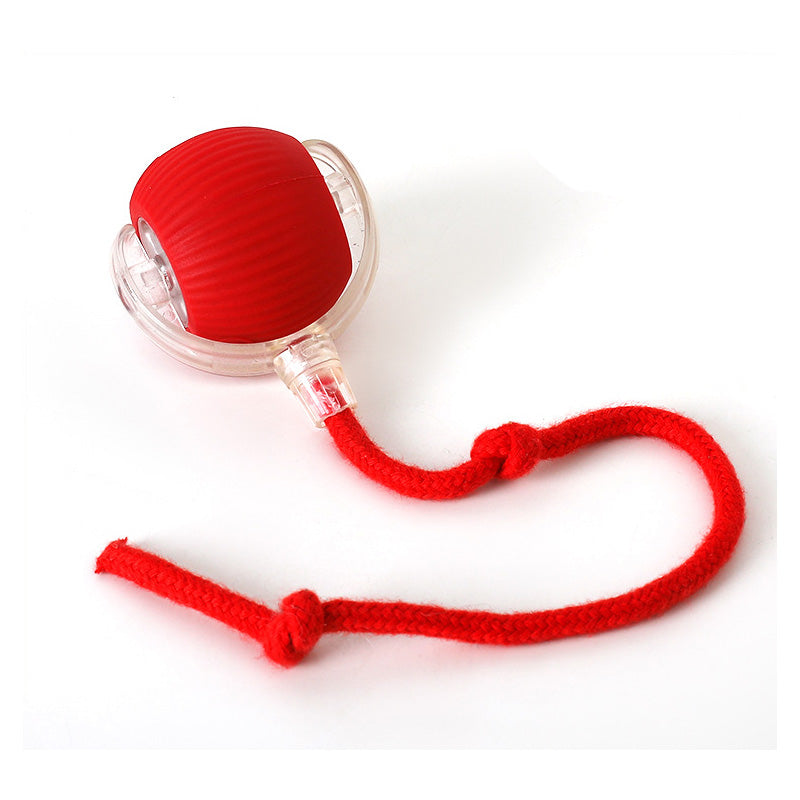 KatzenPower - Interaktiver Indoor-Katzenball | 1+1 GRATIS