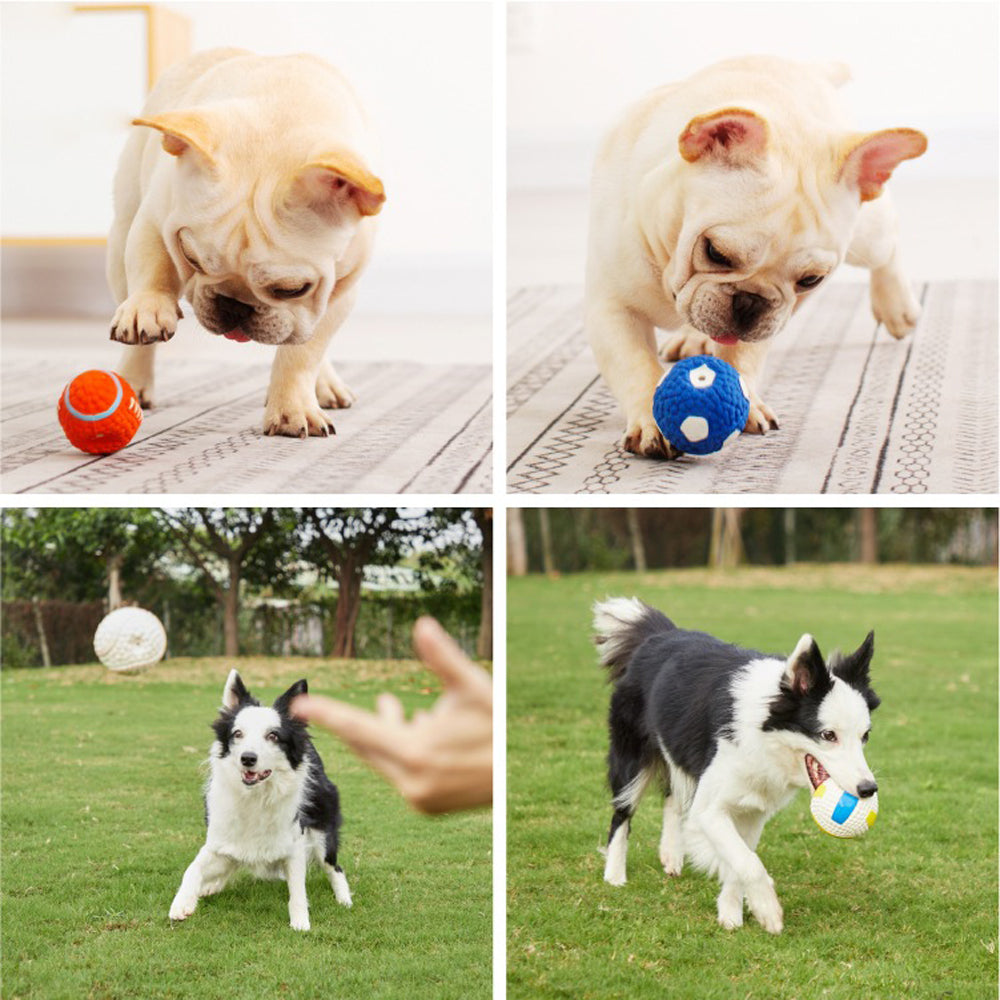 Chewball™ - Unsterbliches Spielzeug für aggressive Kauer | 1+1 GRATIS