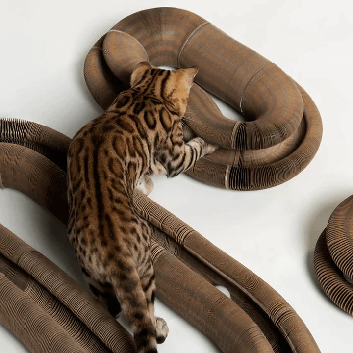 CatMaze™ Cat Toy