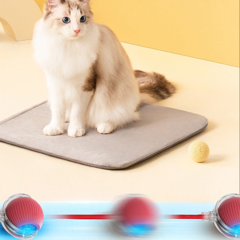 KatzenPower - Interaktiver Indoor-Katzenball | 1+1 GRATIS