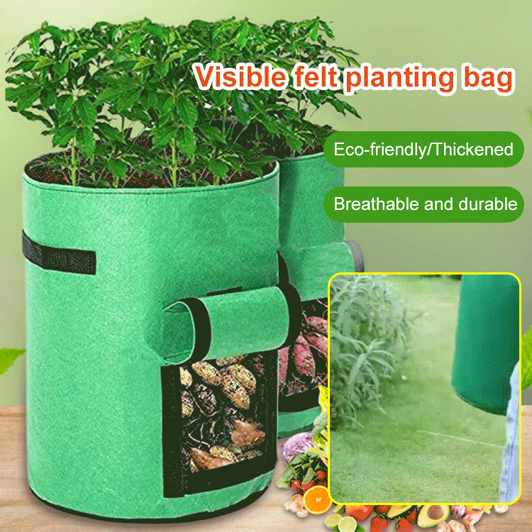 🪴 GrowBagPro – Frisches Gemüse einfach selbst anbauen | 50% RABATT