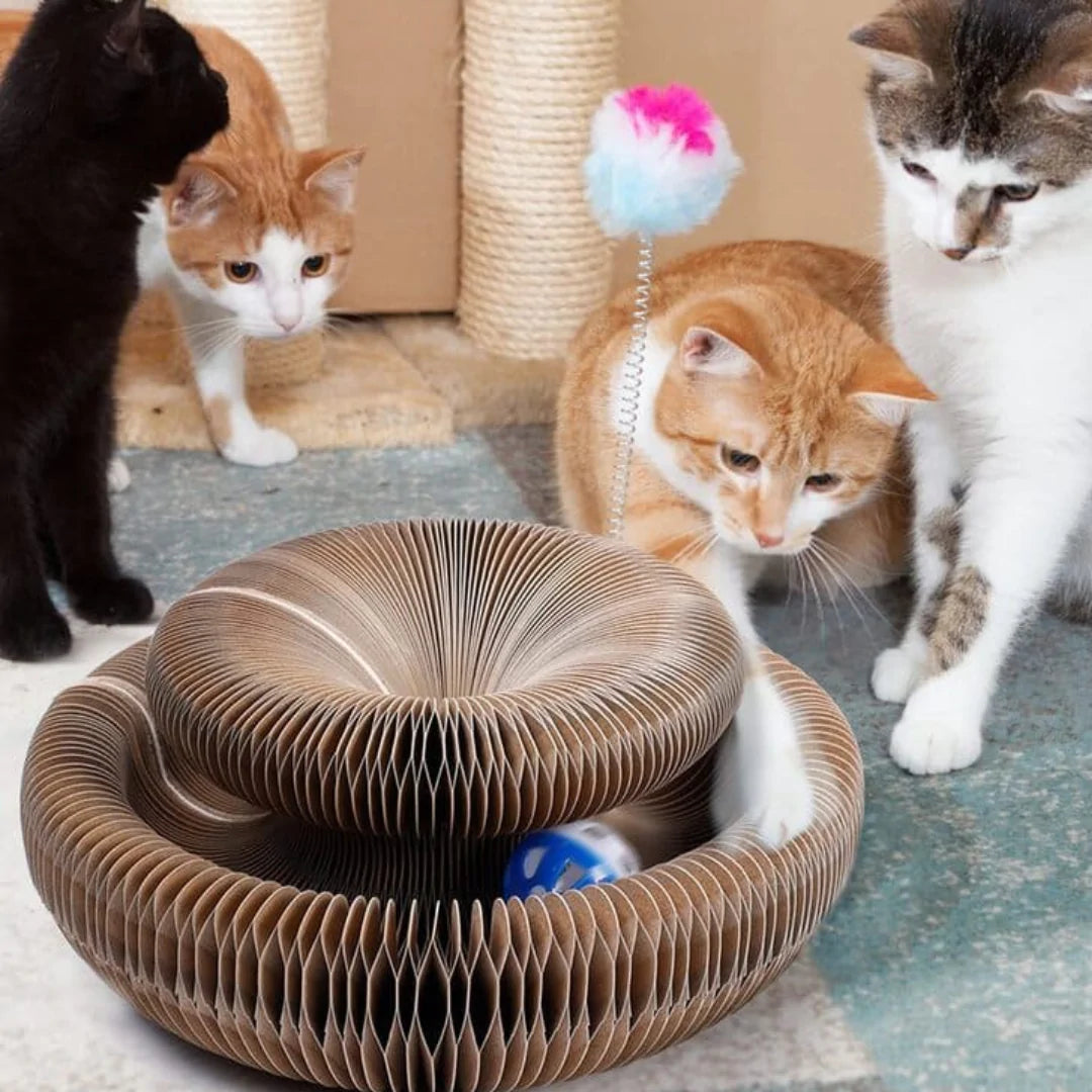CatMaze™ Cat Toy