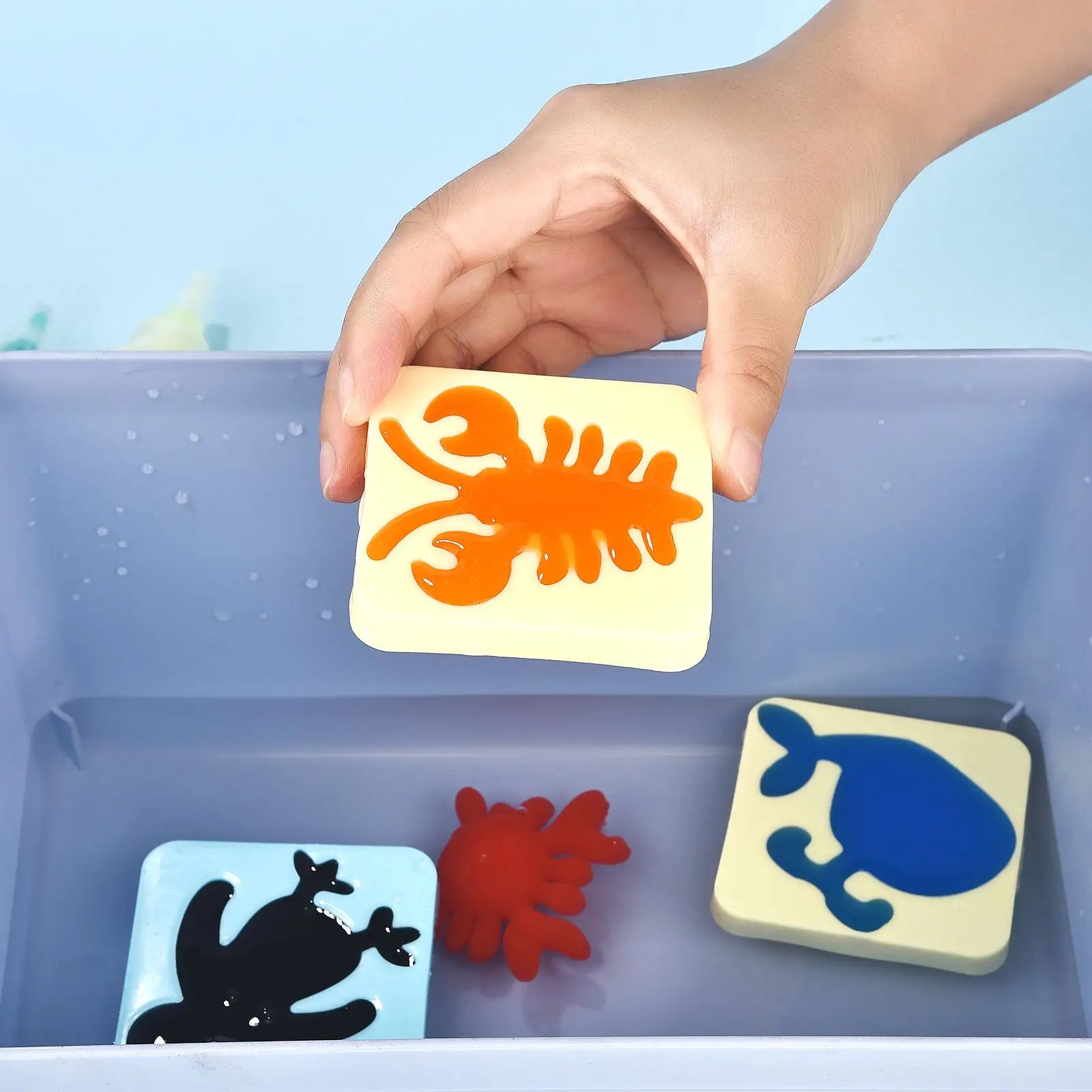 CreativeSplash | 50% RABATT
