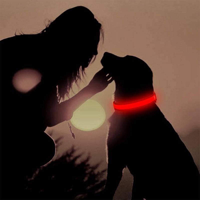 LED-Halsbänder für Hunde™