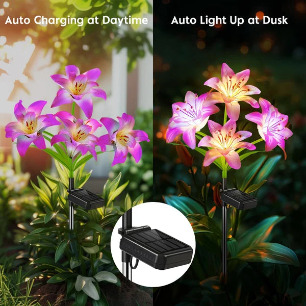 🔥HEISSER VERKAUF 49% RABATT🔥🎄Solarbetriebene blühende Lilienblumen Lichter🎄
