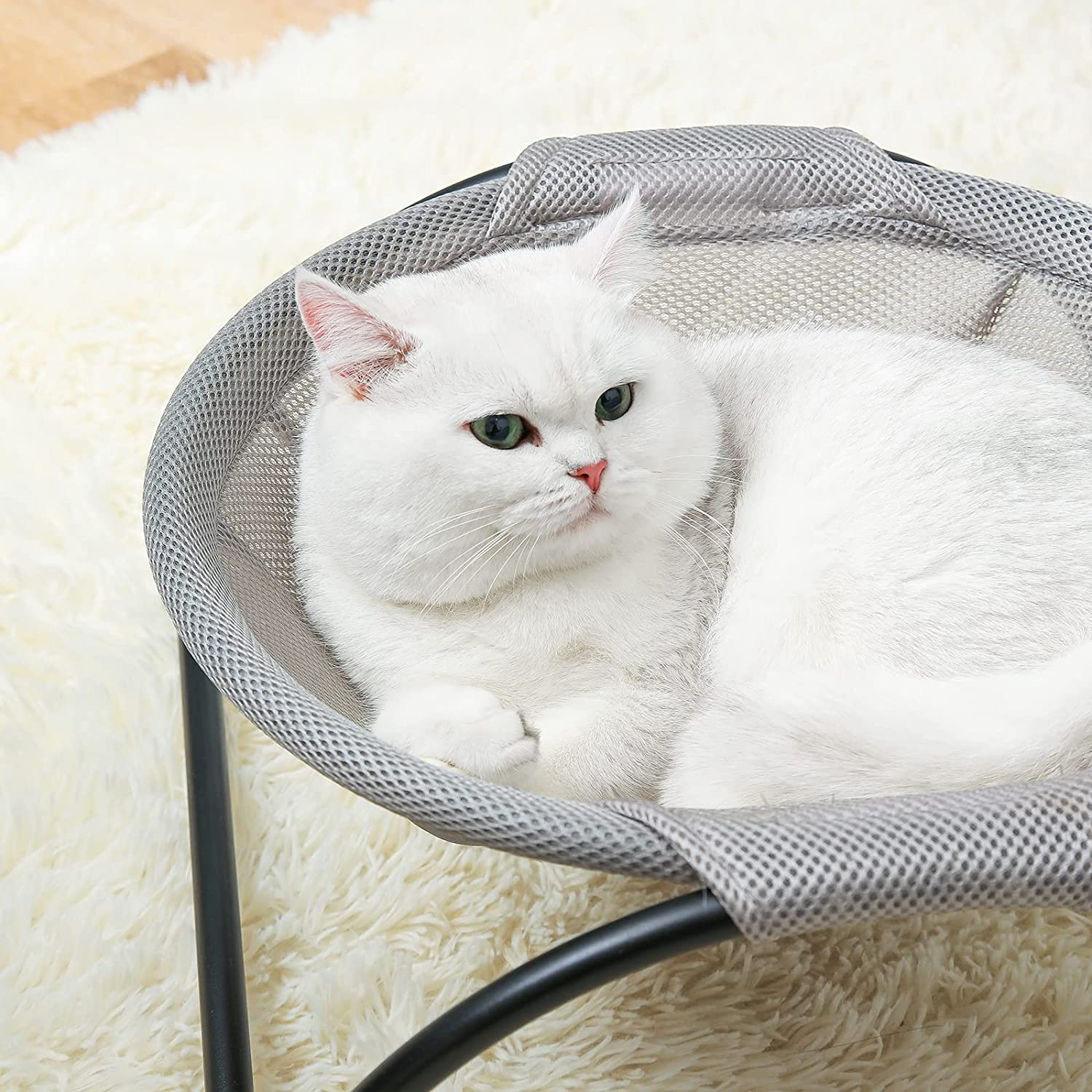 Ocerar™ Katze Hängematte Bett