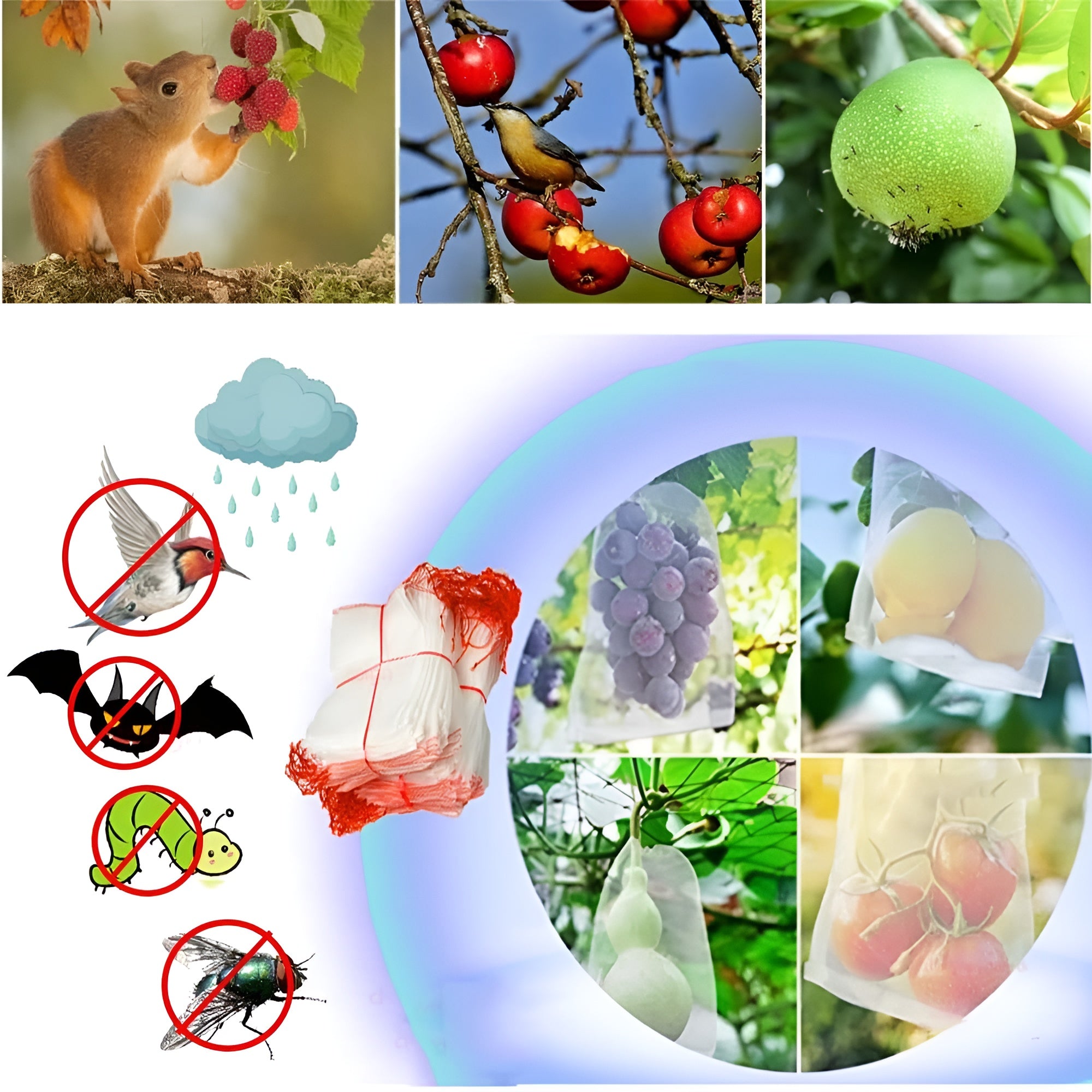 SafeHarvest Pro - Effektiver Schutz vor Schädlingen für gesunde und reiche Ernten | 10+10 GRATIS