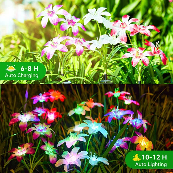 🔥HEISSER VERKAUF 49% RABATT🔥🎄Solarbetriebene blühende Lilienblumen Lichter🎄