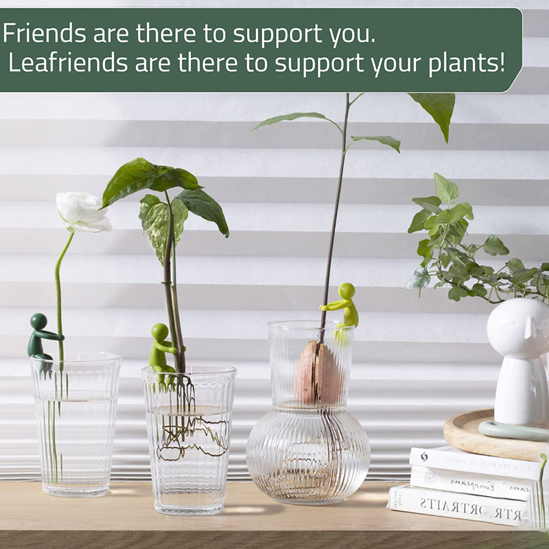 PlantBuddy - Pflanzenvermehrung Buddy