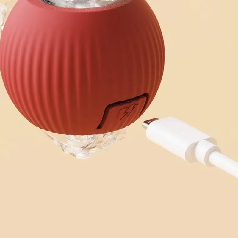 KatzenPower - Interaktiver Indoor-Katzenball | 1+1 GRATIS
