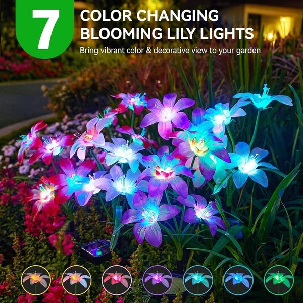 🔥HEISSER VERKAUF 49% RABATT🔥🎄Solarbetriebene blühende Lilienblumen Lichter🎄