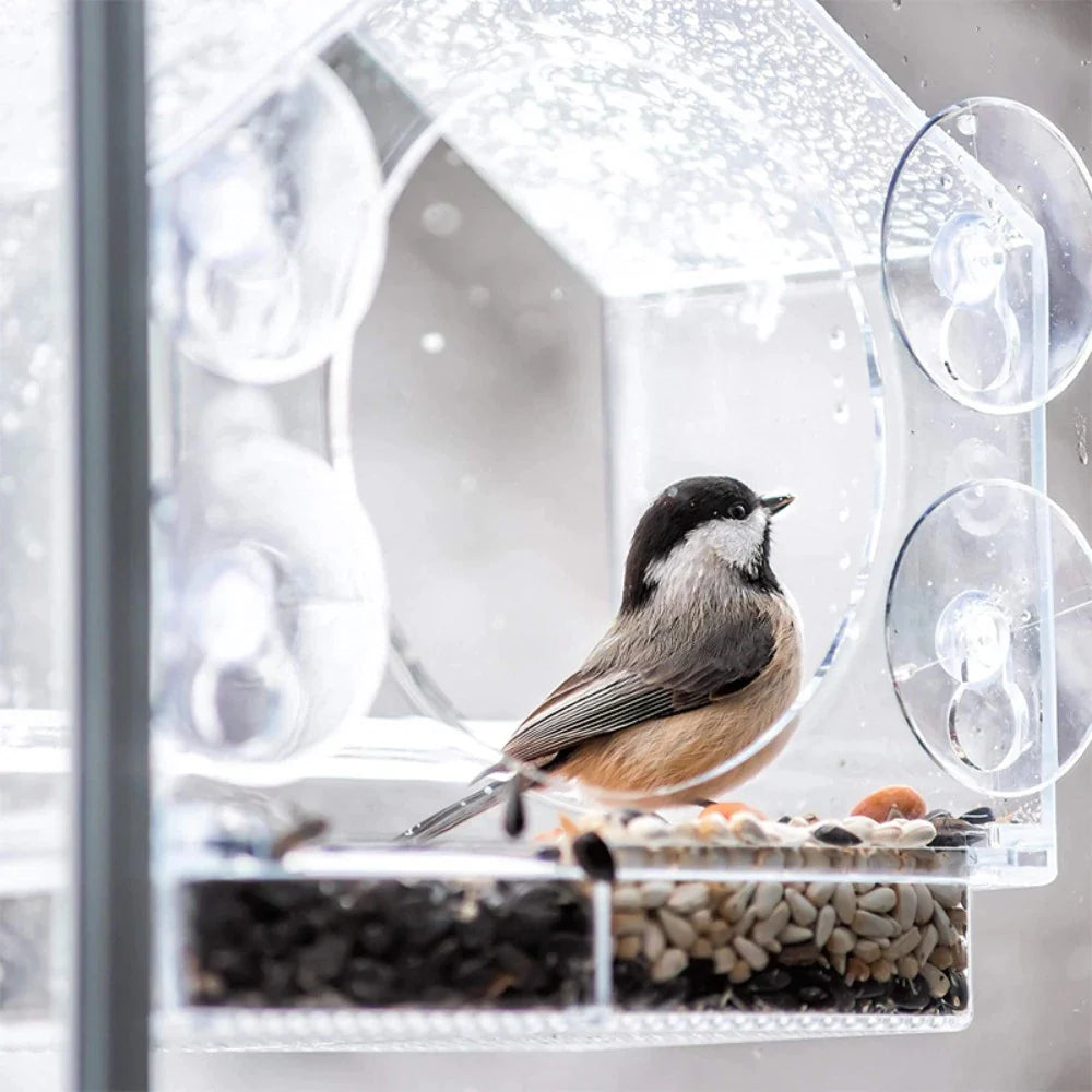 Birdy - Vogelfutterhaus am Fenster | 50% RABATT