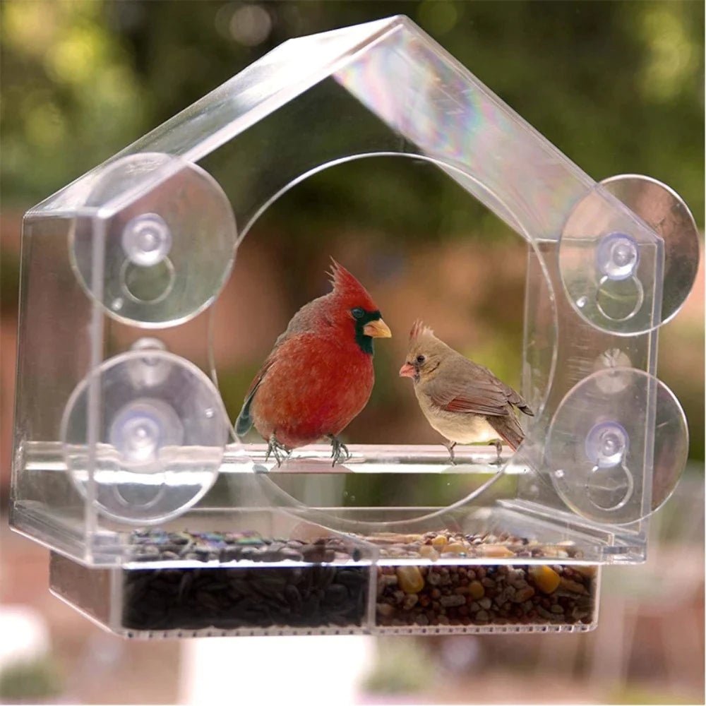 Birdy - Vogelfutterhaus am Fenster | 50% RABATT