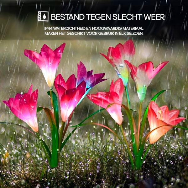 SunBloom™ Solar‑Sonnenblumen‑Gartenleuchten | 50% RABATT