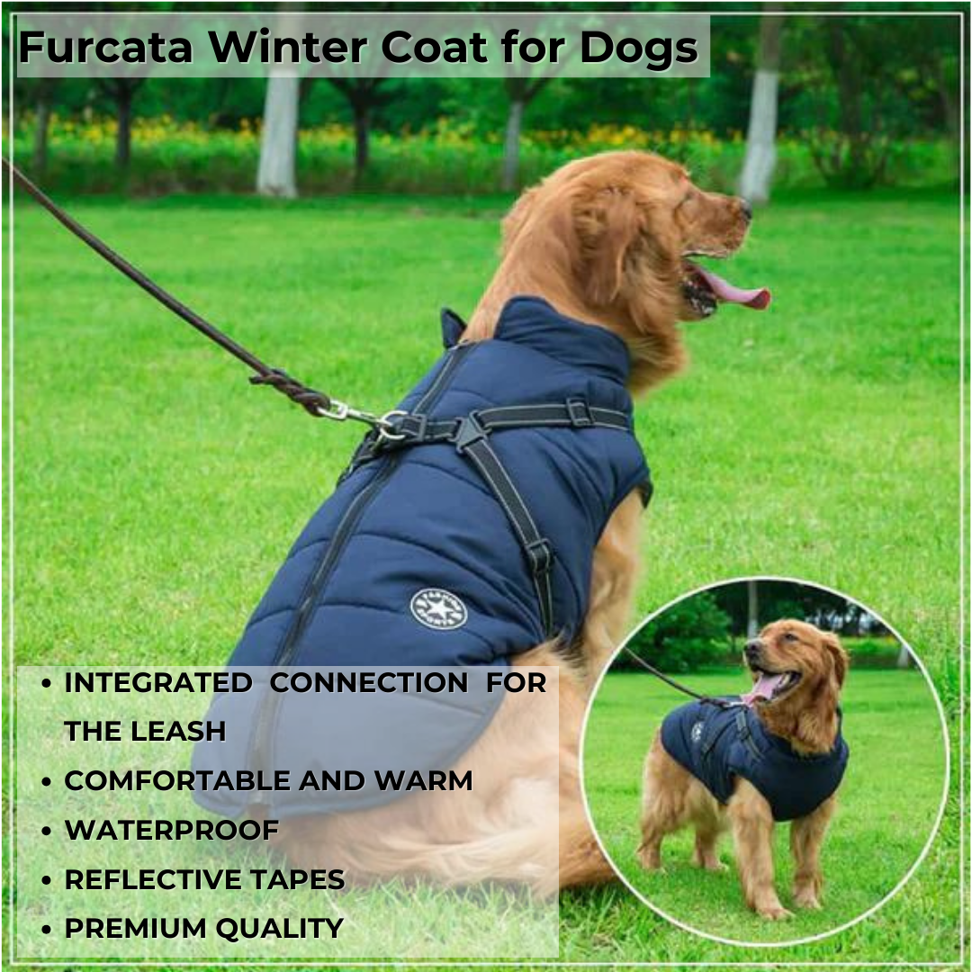 Furcata™ Wintermantel für Hunde | 50% RABATT