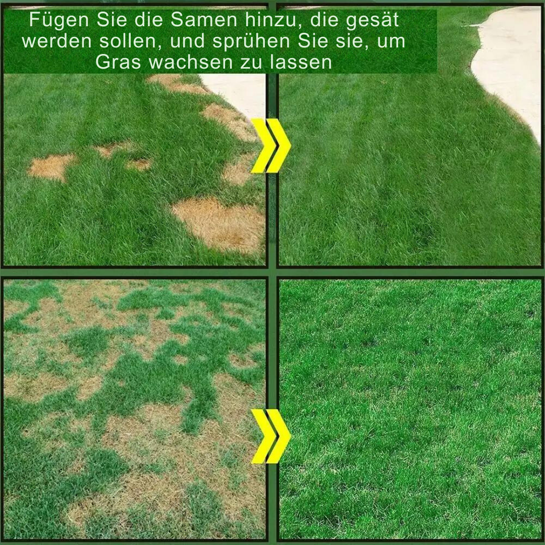 Verwandeln Sie Ihren Garten in üppiges Grün! | 1+1 GRATIS