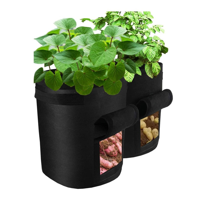 🪴 GrowBagPro – Frisches Gemüse einfach selbst anbauen | 50% RABATT