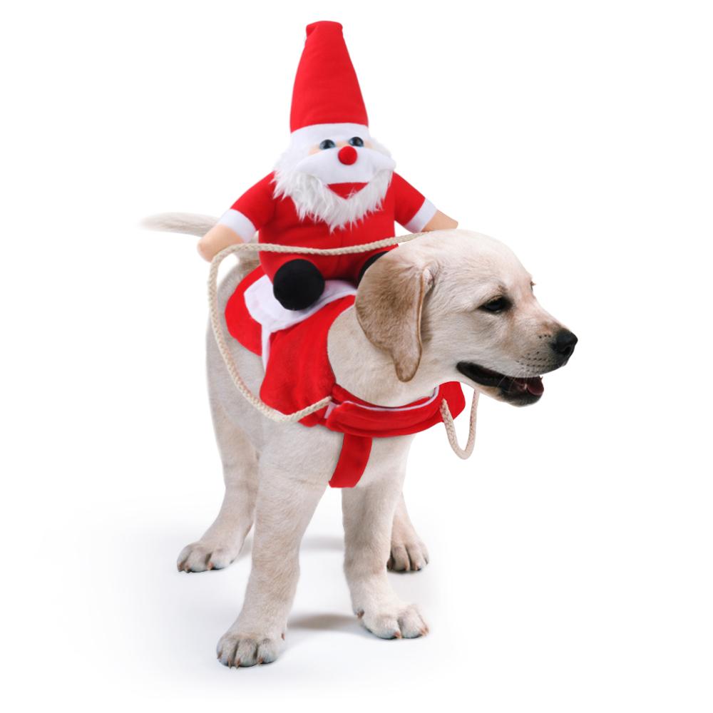 Weihnachtshund | 50% RABATT
