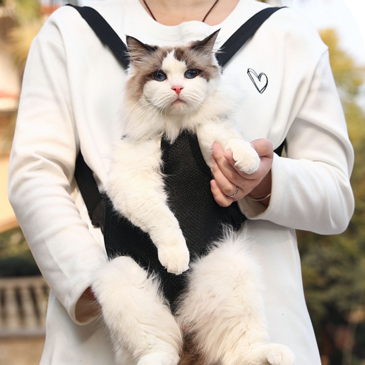 PetTravel - Tragetasche für Katzen und kleine Hunde | 50% RABATT