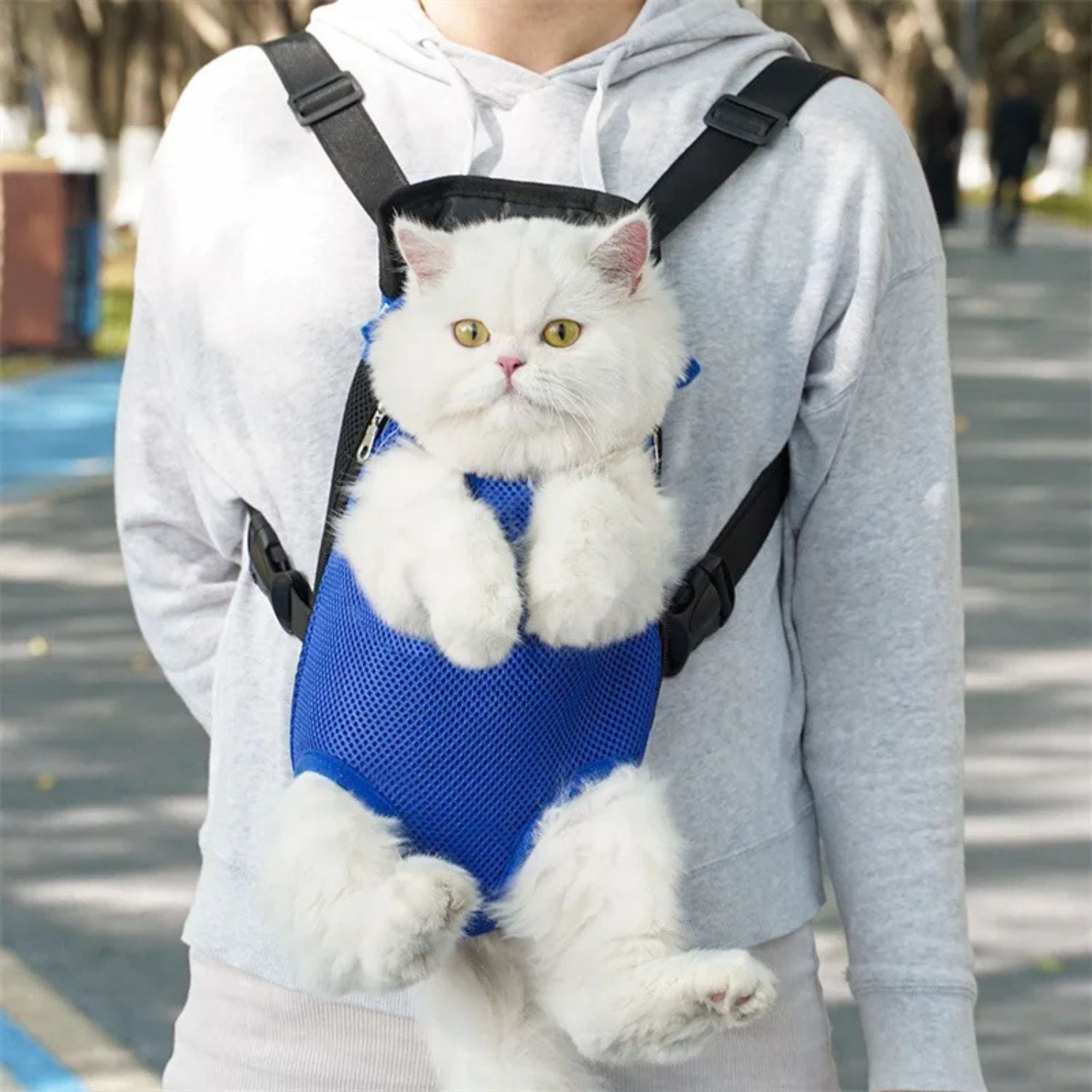 PetTravel - Tragetasche für Katzen und kleine Hunde | 50% RABATT
