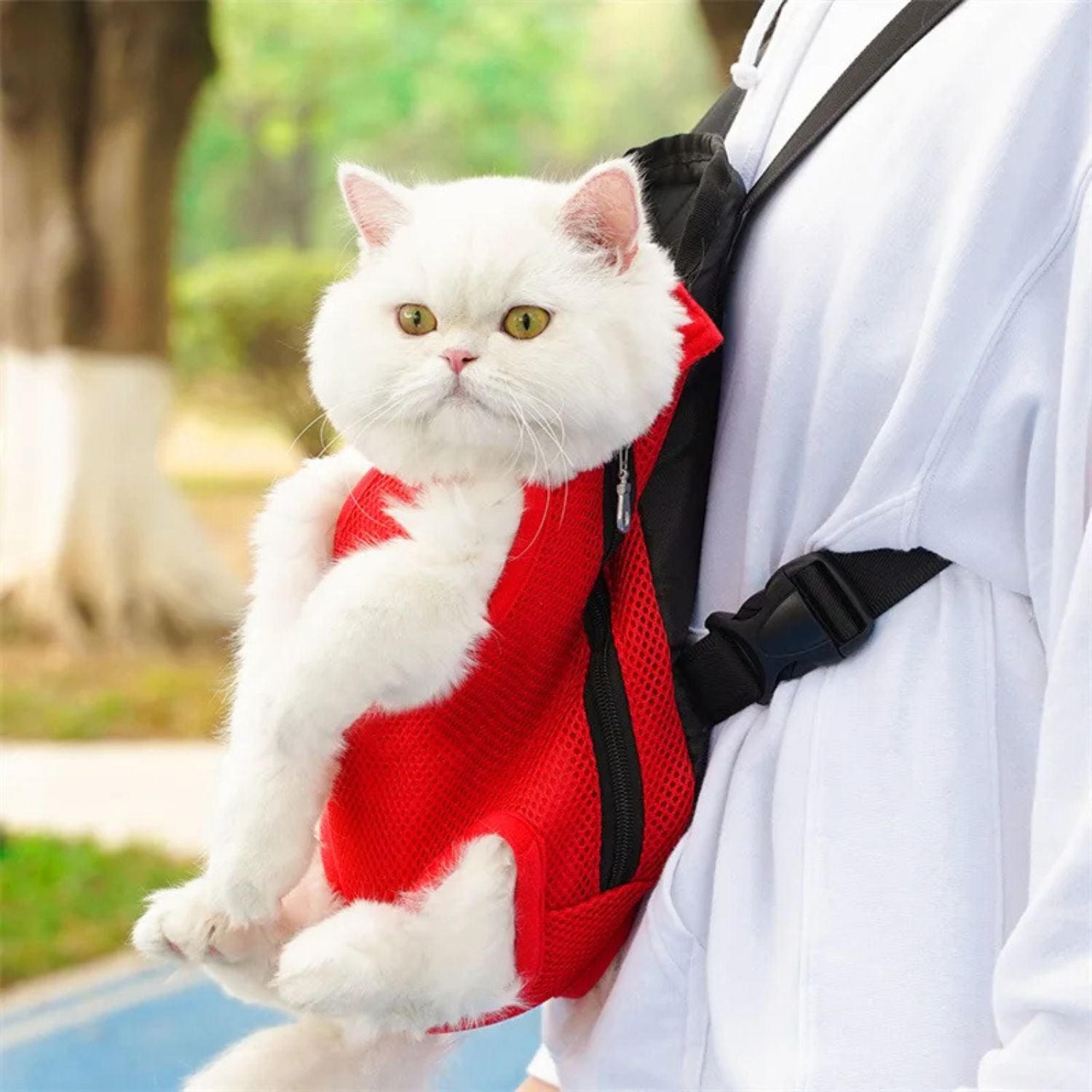 PetTravel - Tragetasche für Katzen und kleine Hunde | 50% RABATT