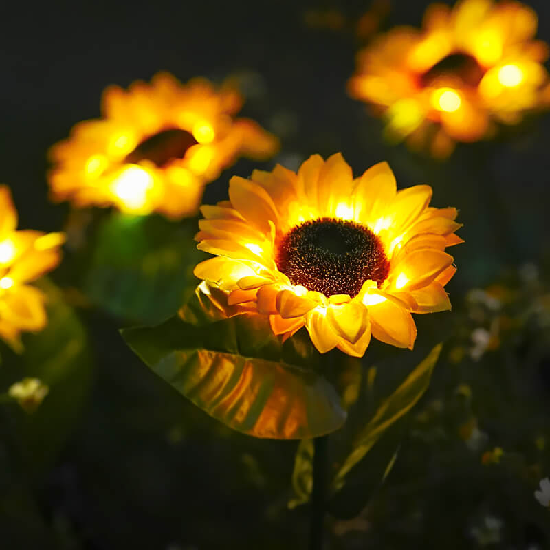 Solar-Sonnenblumen-Lichter