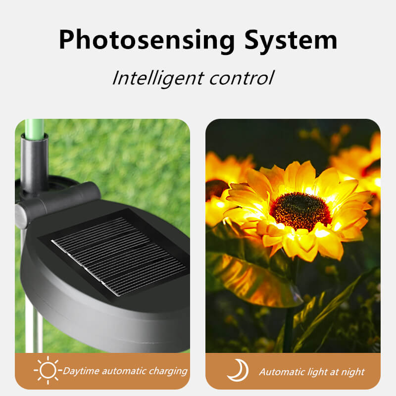 Solar-Sonnenblumen-Lichter