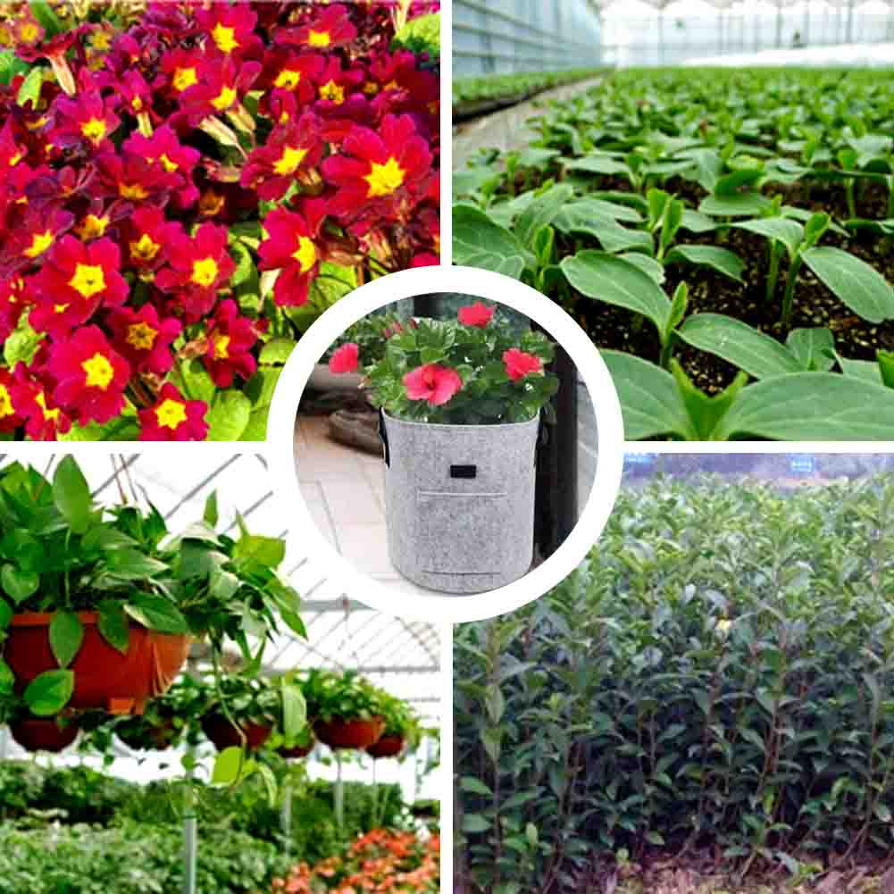 🪴 GrowBagPro – Frisches Gemüse einfach selbst anbauen | 50% RABATT
