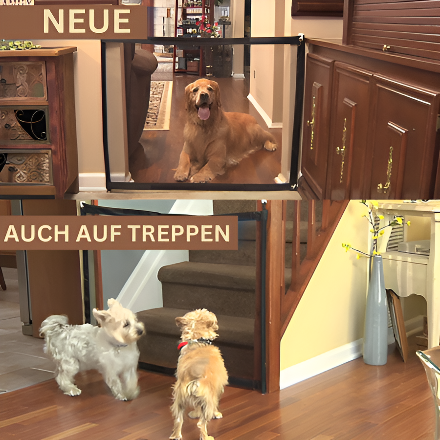 SecureGuard™️- Geben Sie Ihren Haustieren die Freiheit ohne Sorgen | 50% RABATT