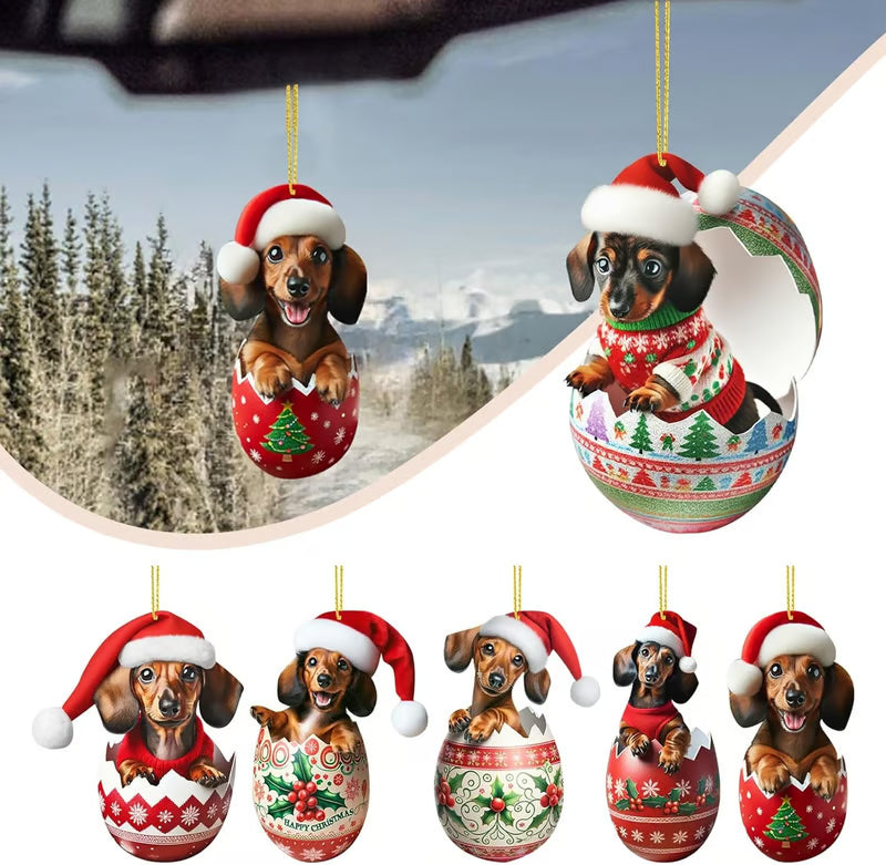 Dachsy – Weihnachts-Adventskalender für Dackel