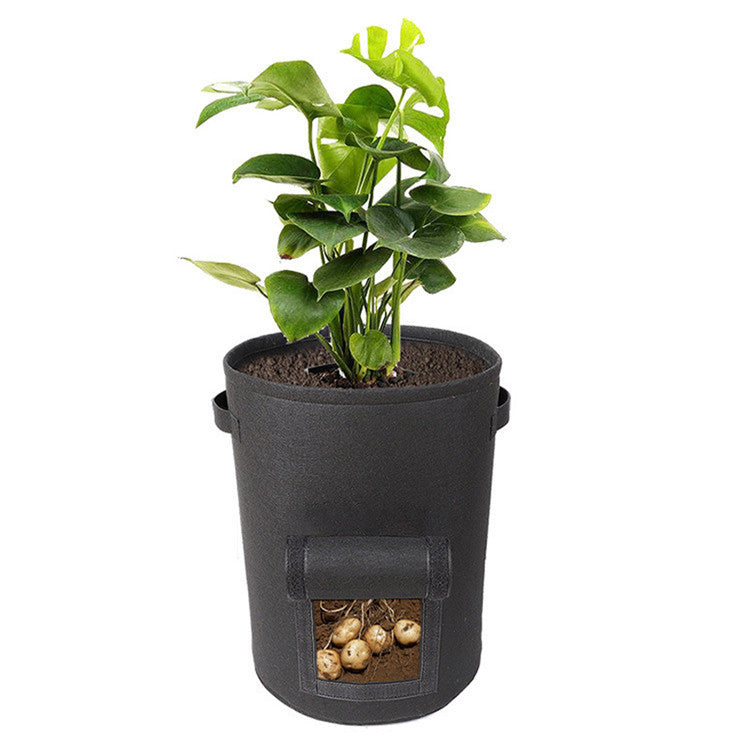 🪴 GrowBagPro – Frisches Gemüse einfach selbst anbauen | 50% RABATT