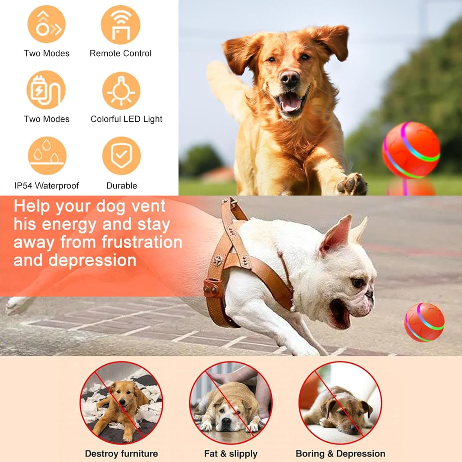 Spielen Sie Paw Ball - Der ultimative Spaßbegleiter