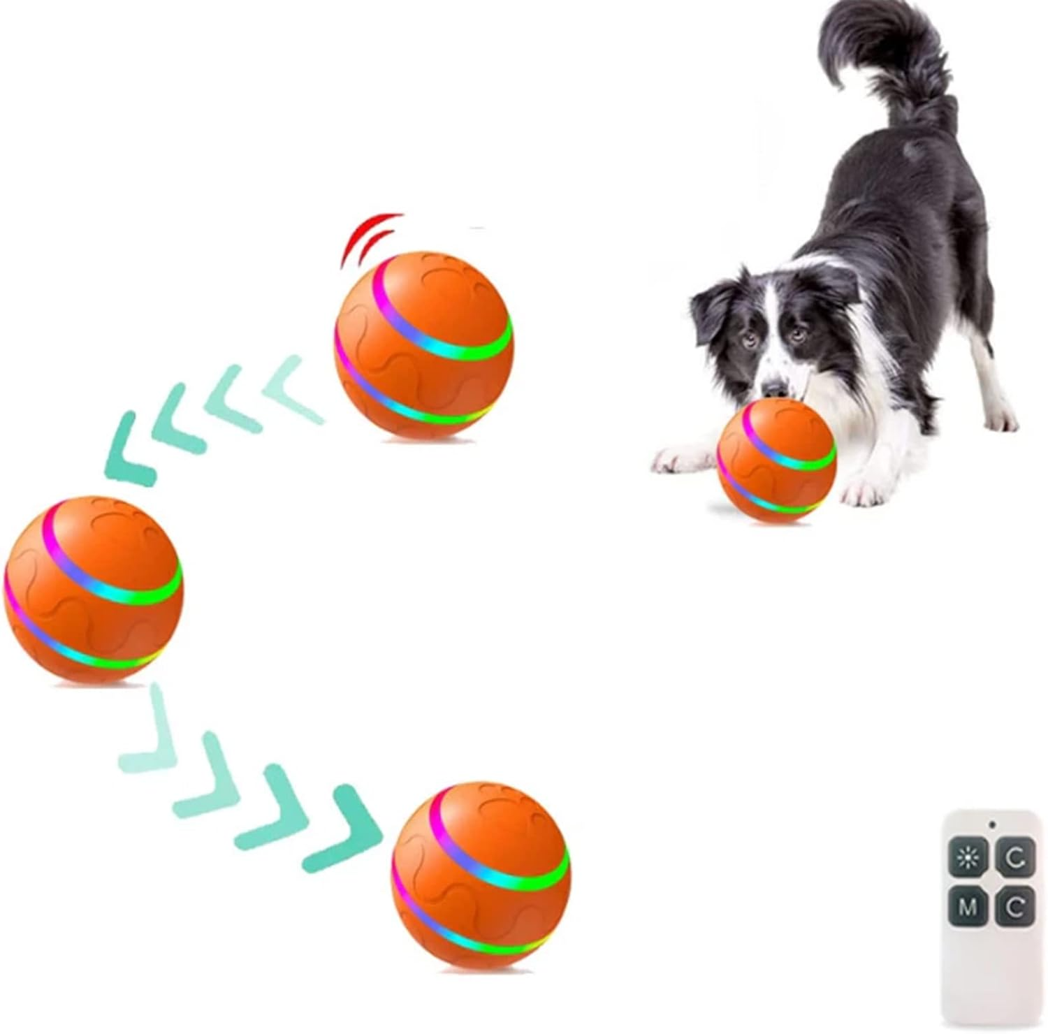 Spielen Sie Paw Ball - Der ultimative Spaßbegleiter