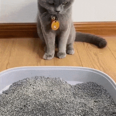 PetClean™ – Futterspender & Kot-Sammelhilfe | 50% Rabatt