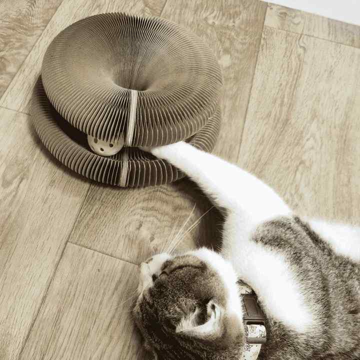 CatMaze™ Cat Toy