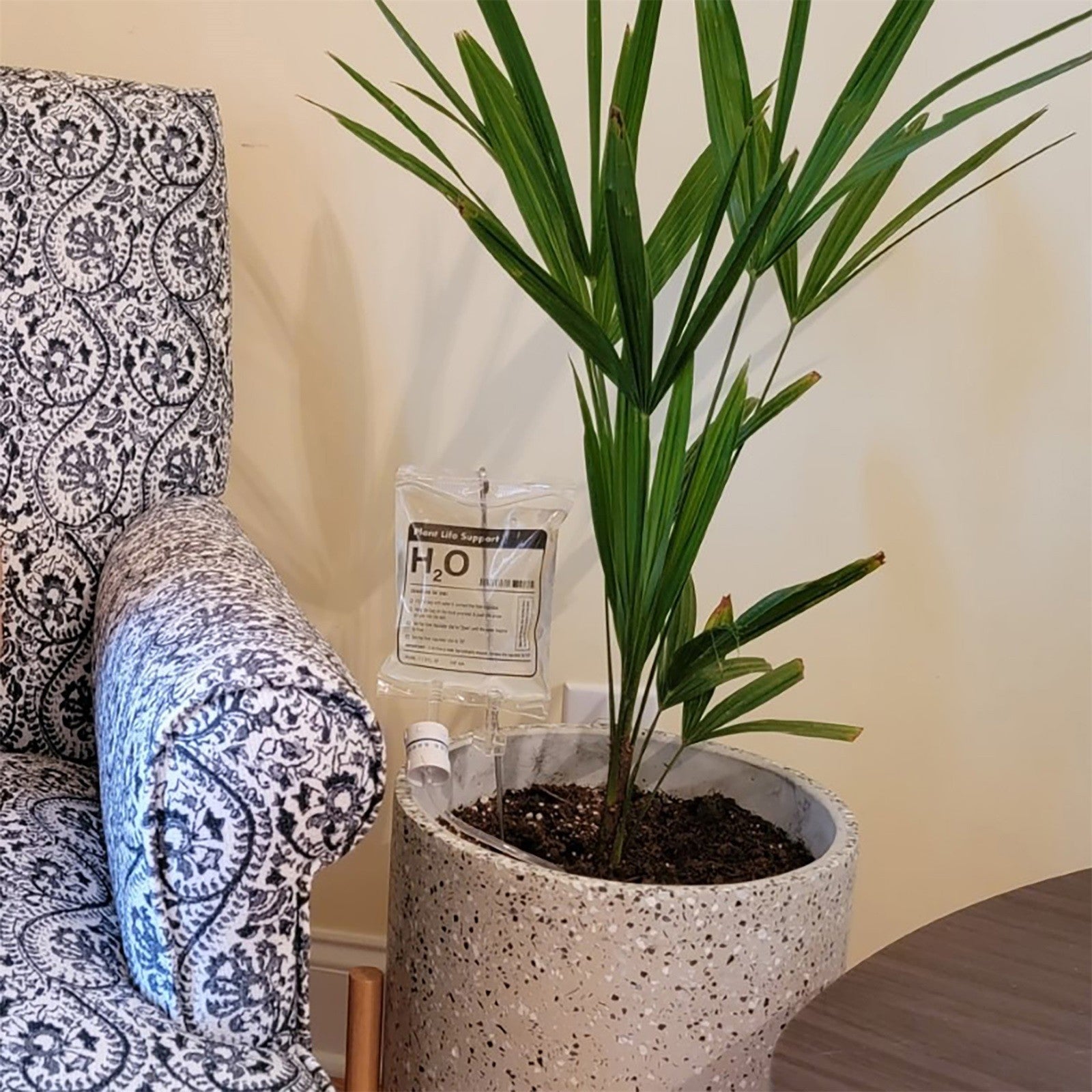 Trendy Wassersystem Infusion für Pflanzen - 1 + 1 GRATIS