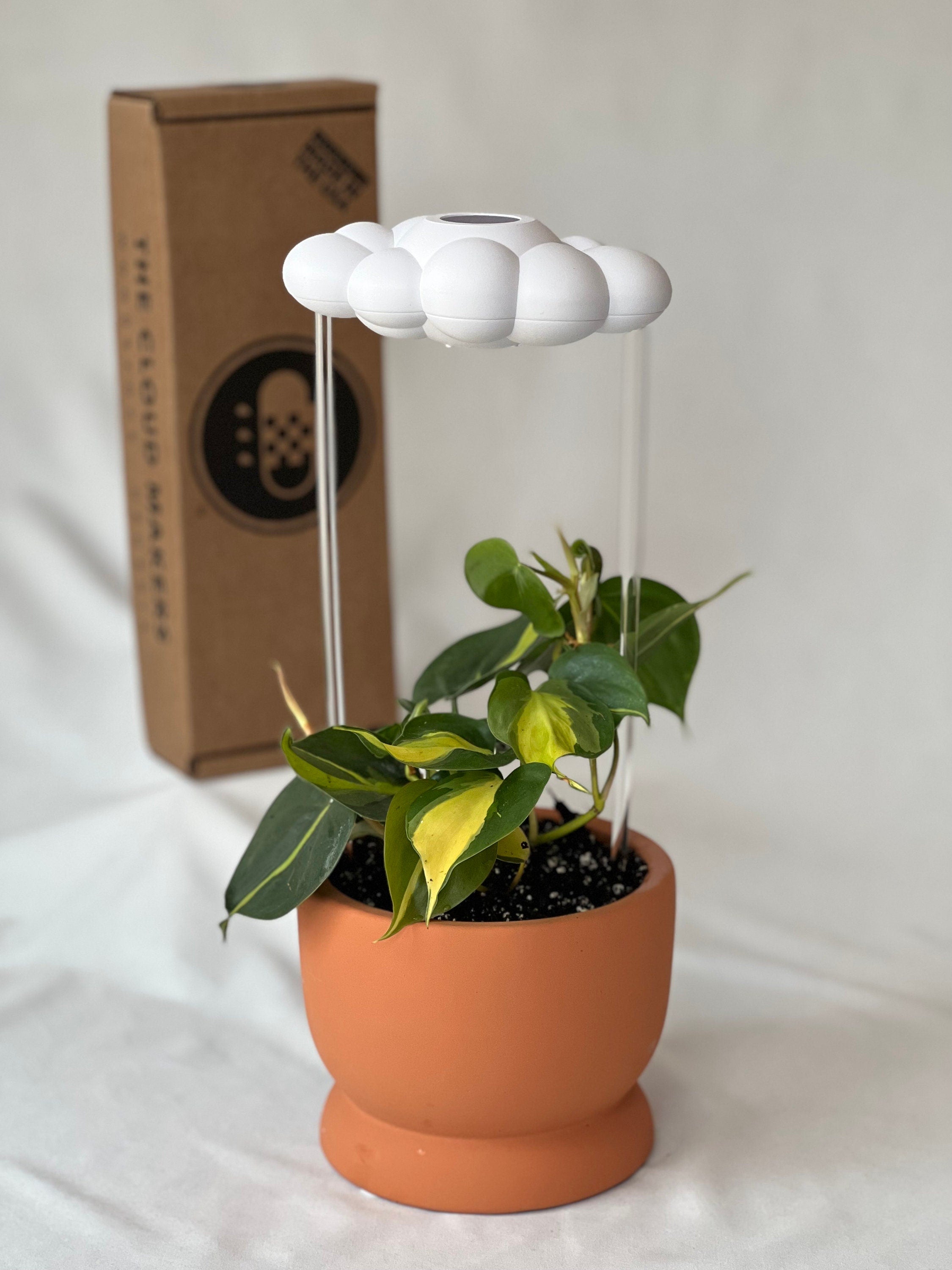 Original Tropfende Regenwolke Diffusor