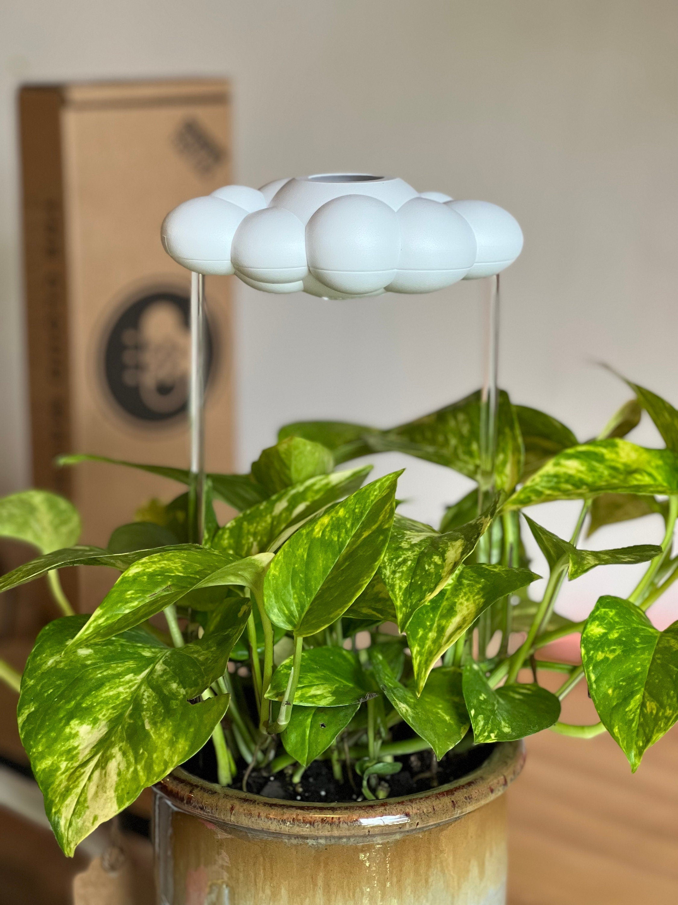 Original Tropfende Regenwolke Diffusor