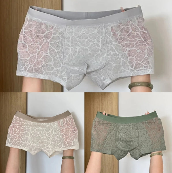 IceGuard™ – 10A Antibakterielle Boxershorts für Herren | 1+1 GRATIS
