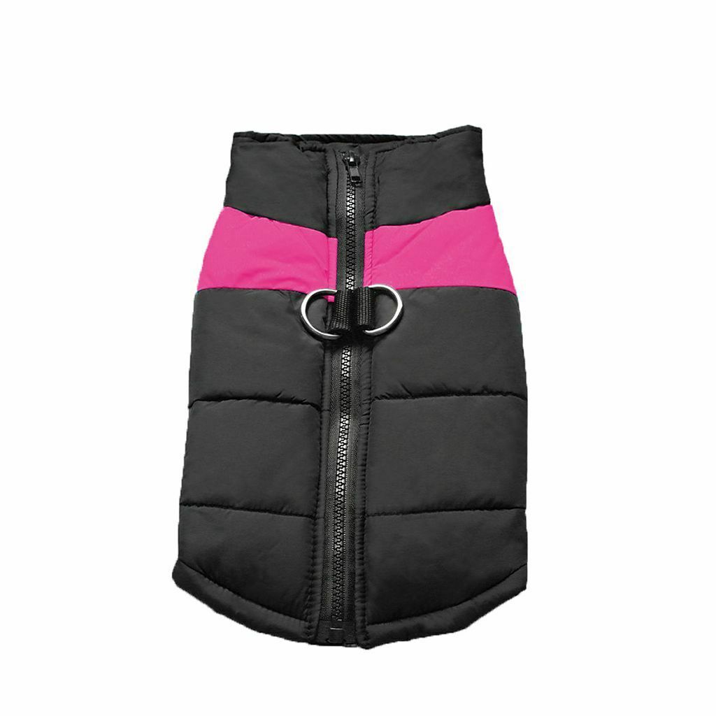 WinterShield™  Wärmen Sie Ihren Hund im Winter | 50% RABATT