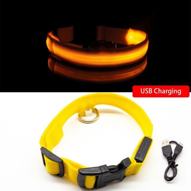 LED-Halsbänder für Hunde™