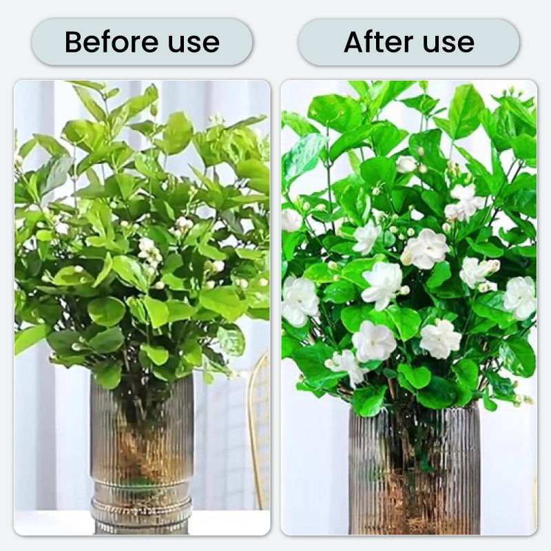 BloomGuard – Antibakterielle Sprudeltabletten für Blumen | 1+1 GRATIS