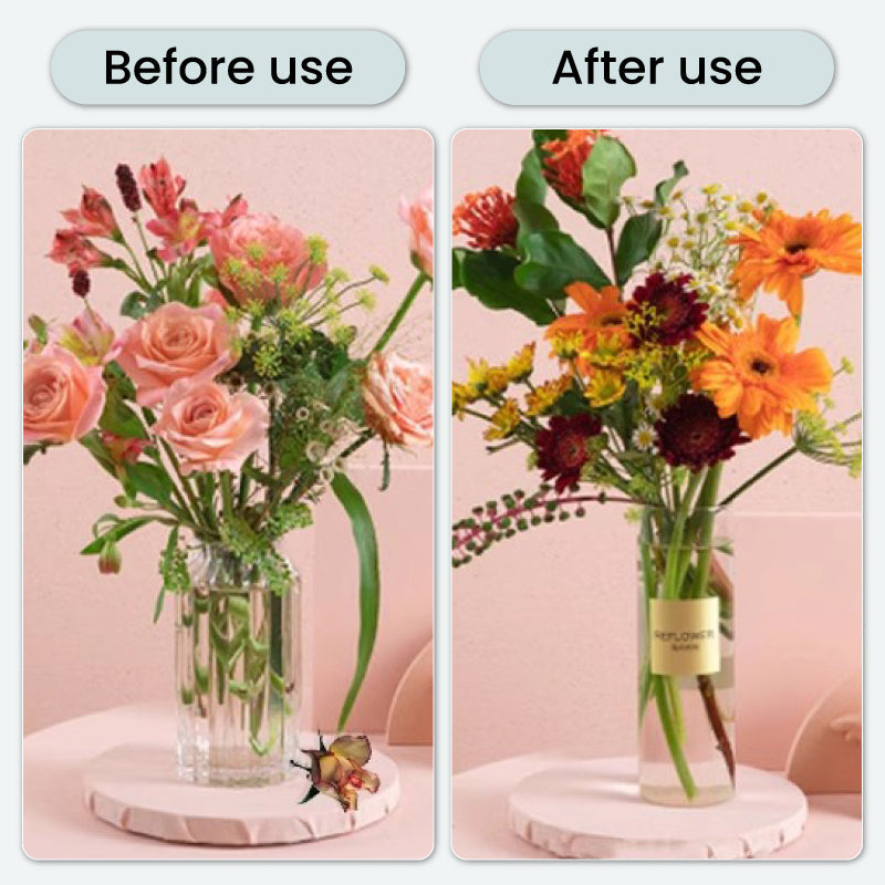 BloomGuard – Antibakterielle Sprudeltabletten für Blumen | 1+1 GRATIS