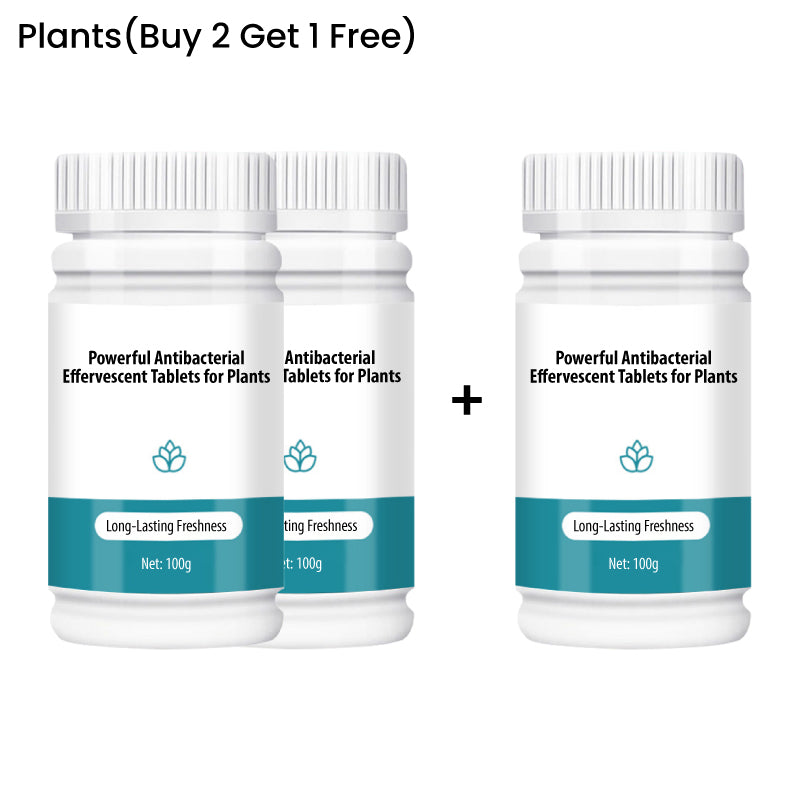 BloomGuard – Antibakterielle Sprudeltabletten für Blumen | 1+1 GRATIS