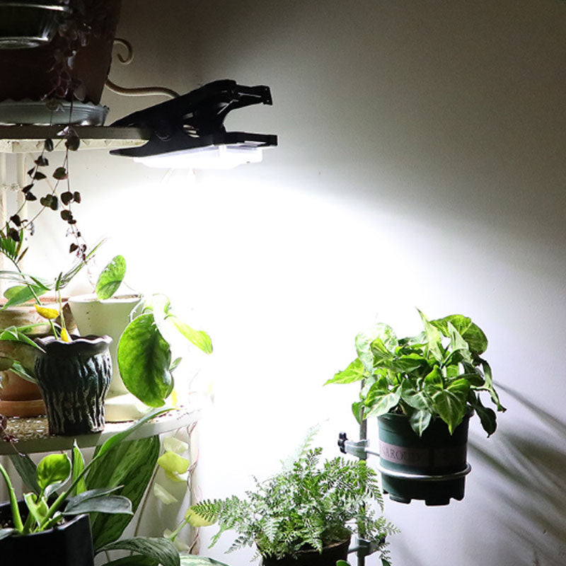 🌟 Solarleuchte mit Bewegungssensor – Perfekte Beleuchtung für Ihren Außenbereich! 🌟 | 50% RABATT