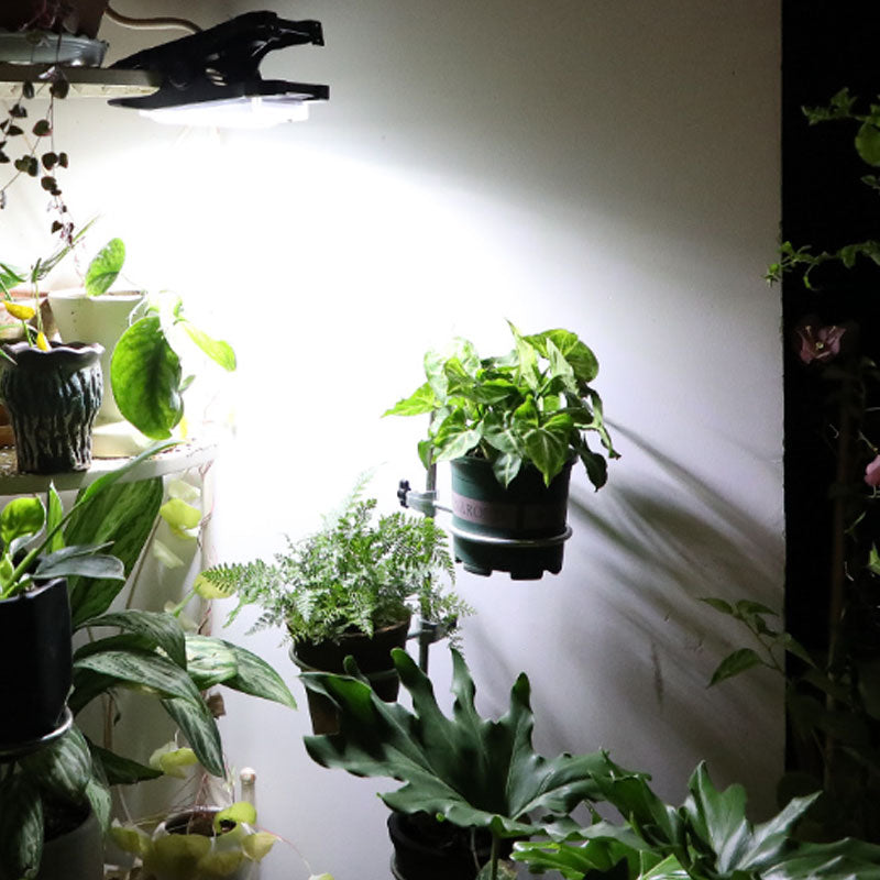 🌟 Solarleuchte mit Bewegungssensor – Perfekte Beleuchtung für Ihren Außenbereich! 🌟 | 50% RABATT
