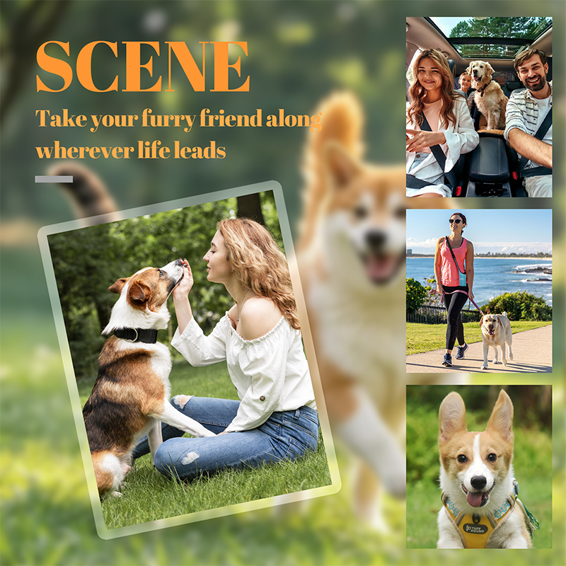 HeartPaw Schlüsselanhänger | 1+2 GRATIS